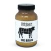 BigBrainFront_fb1ba855-39b0-451d-bcda-5216f06bb061 BIG BRAIN: Memory and Intelligence
