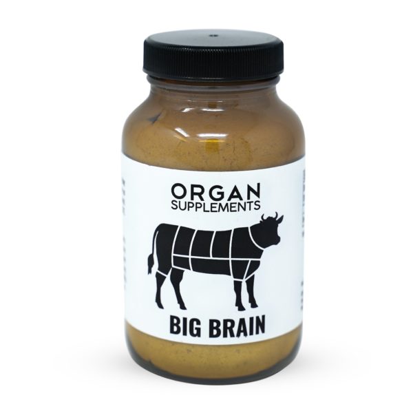 BigBrainFront_fb1ba855-39b0-451d-bcda-5216f06bb061 BIG BRAIN: Memory and Intelligence