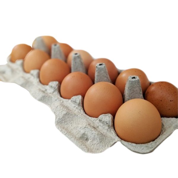 Pasture Raised CHICKEN Eggs (Corn and Soy Free) - PLEASE ORDER SEPERATELY