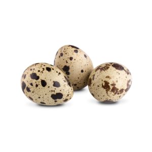 QuailEggs Pasture Raised QUAIL Eggs (Corn and Soy Free) - PLEASE ORDER SEPERATELY