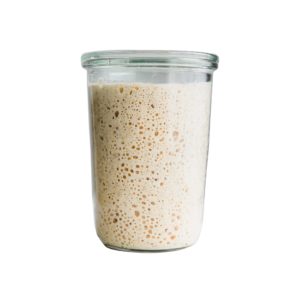 SourdoughStarter Sourdough Starter (Organic)