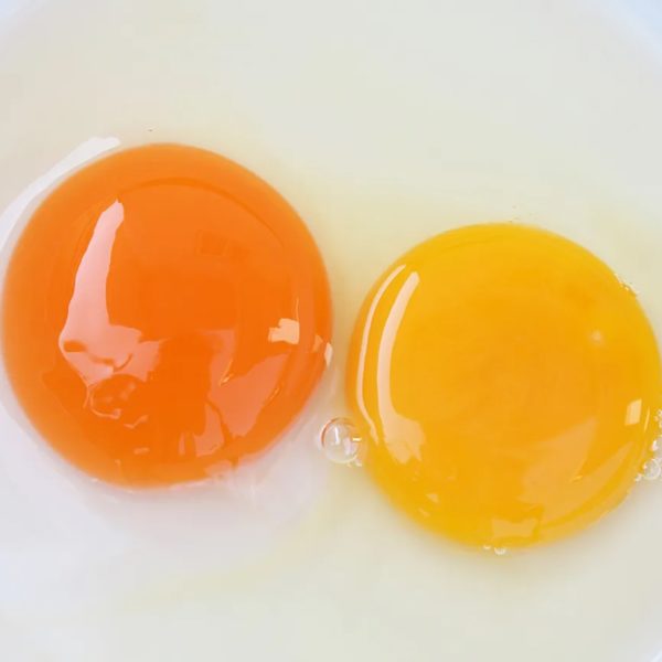 Pasture Raised CHICKEN Eggs (Corn and Soy Free) - PLEASE ORDER SEPERATELY
