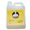 2DetergentGel Frankie Clean Natural Dishwasher Gel
